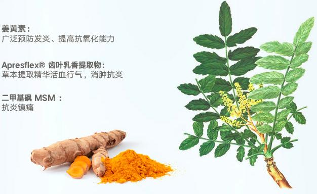 进口的氨基葡萄糖排名,进口氨基葡萄糖功效