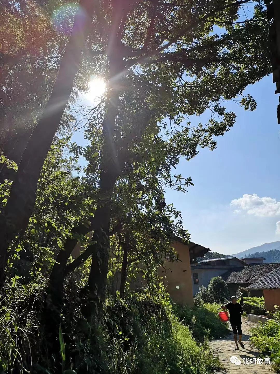 上海人在温汤古镇,带您走进神奇的温汤镇