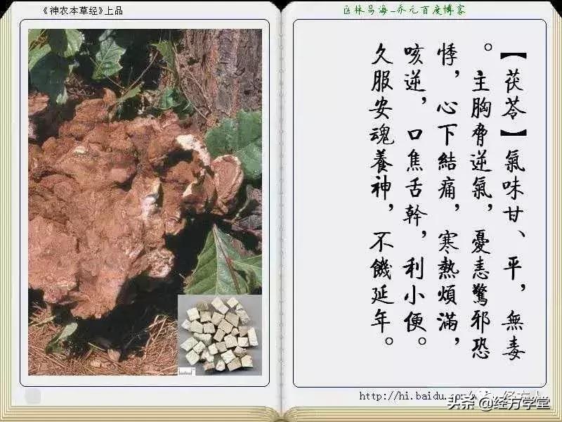 金方书院学习思辨录(一)原创:沧州二院马培锋