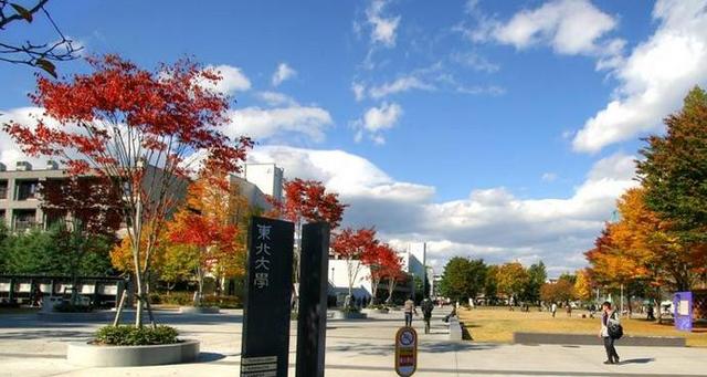 计算机类专业不错的东北大学和北京科技大学志愿填报你如何排序？