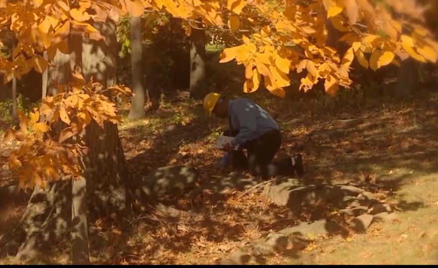 买个小破房,买个破房子要几百万后悔了