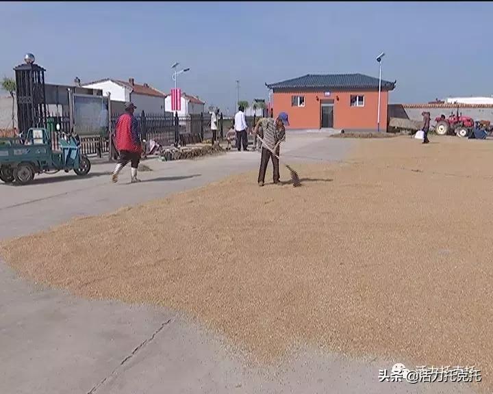 壮丽70年奋斗新时代相关资料,壮丽70年奋斗新时代总结