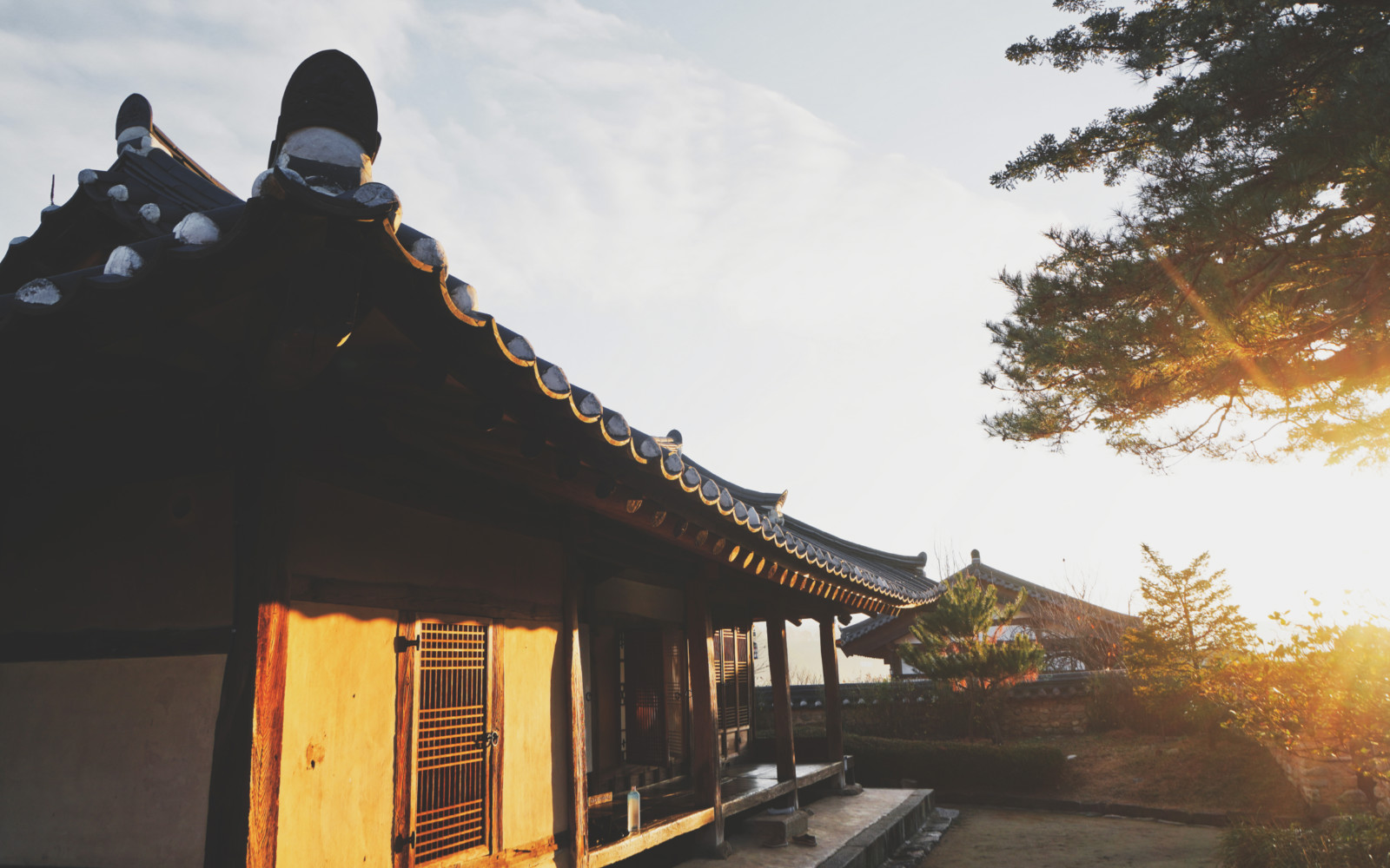 哇,人参随便挖!韩国还能这么玩