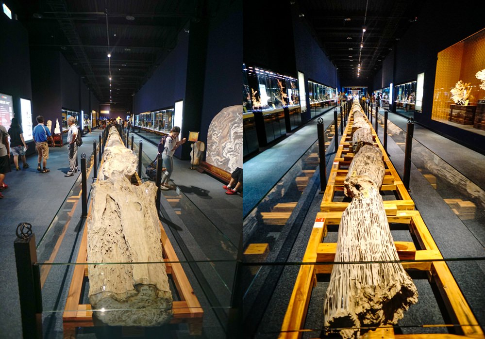 台湾绮丽粉珊瑚,台湾绮丽珊瑚工业