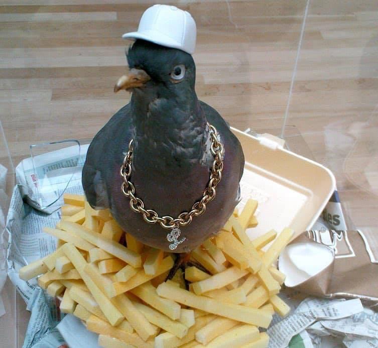 图集|这些厕所，我是不会上的