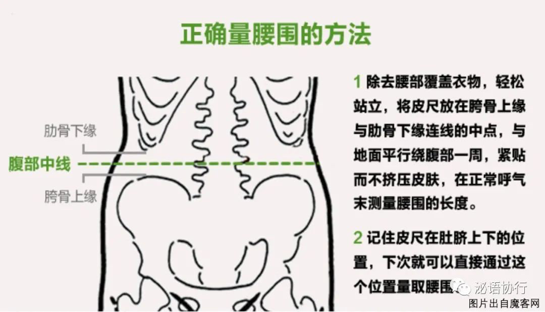 关于脂肪你不得不知道的一些,一分钟深入了解脂肪