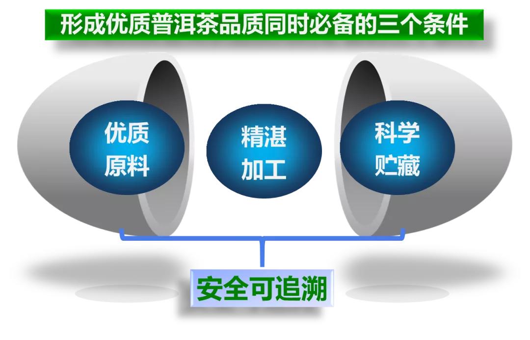 普洱茶小科普,普洱茶英文科普