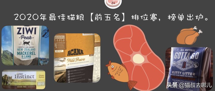 2023猫粮排行榜前十名推荐,2018年最佳全猫粮榜单