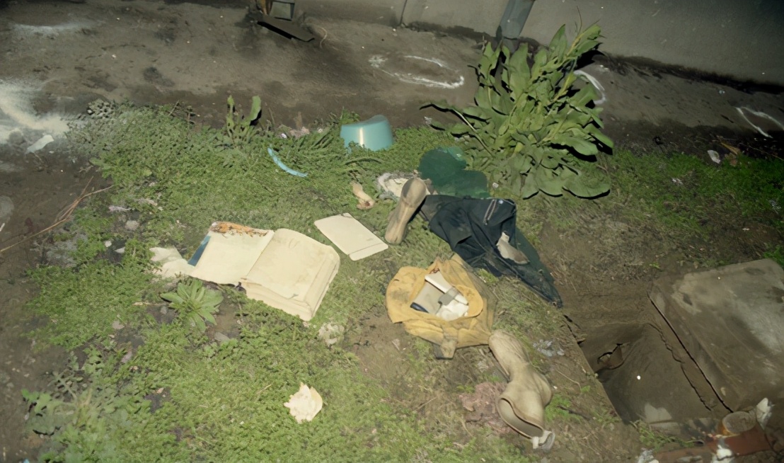 南医大杀人案纪实全集,南医大杀人案大案实录