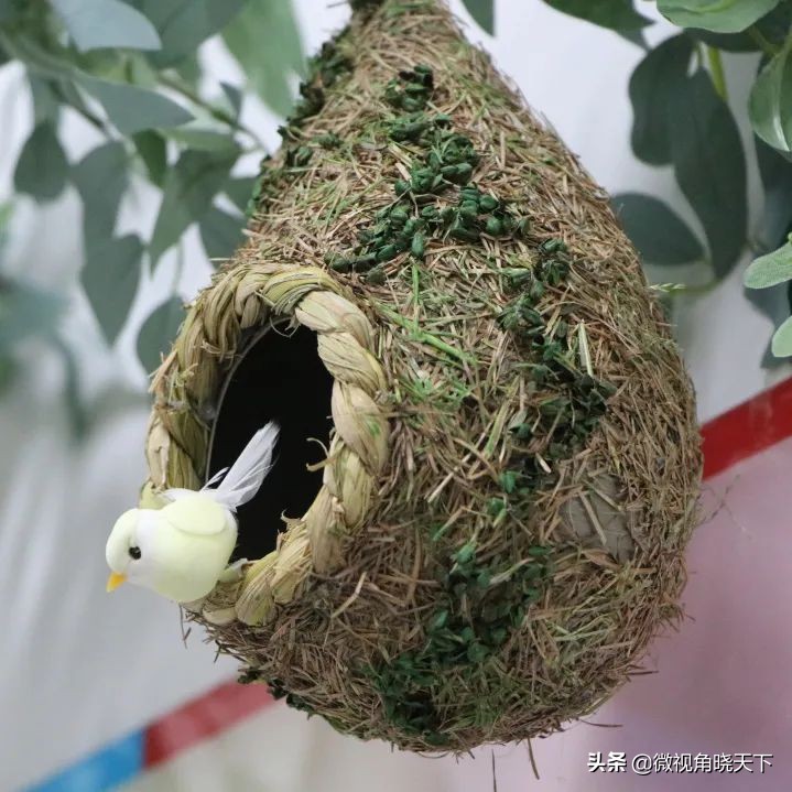 信阳市羊山外国语学区,羊山外国语小学信阳