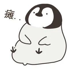 养的小荷兰猪为啥会死,豚鼠荷兰猪一般能活多久