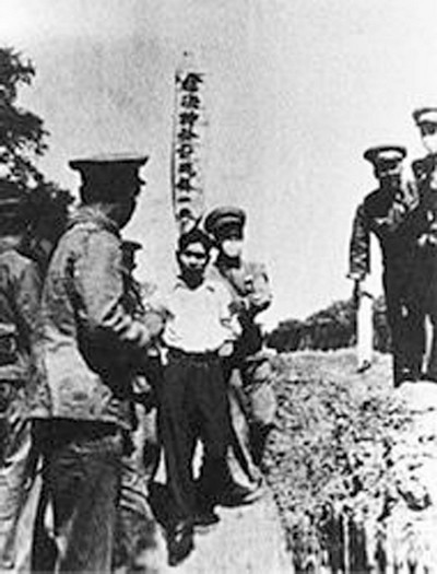 罗瑞卿严惩大老虎!