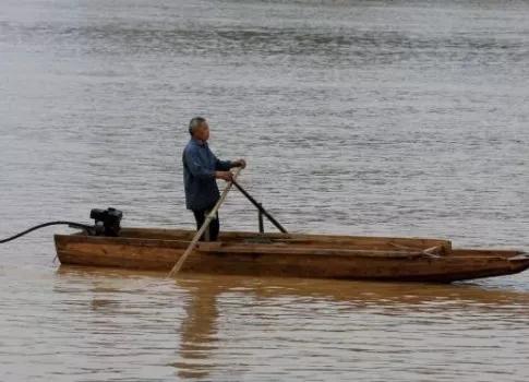 麦鲮为何能称霸两广水域,为什么麦鲮只能在珠江生存