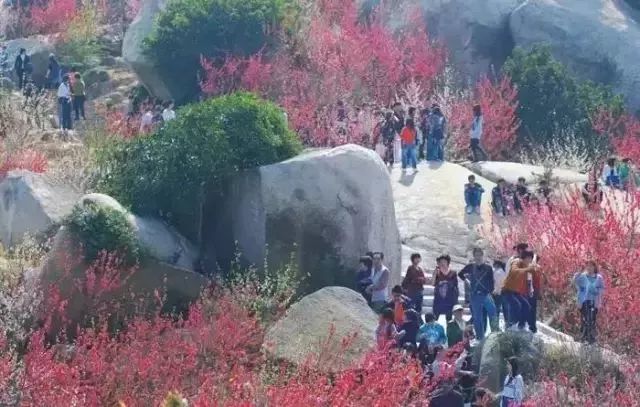 汕头揭阳旅游必去十大景点,汕头饶平旅游景点推荐自驾游