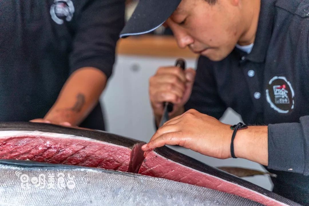 在昆明，第一次见200斤的大鱼，蘸着芥末生吃超爽