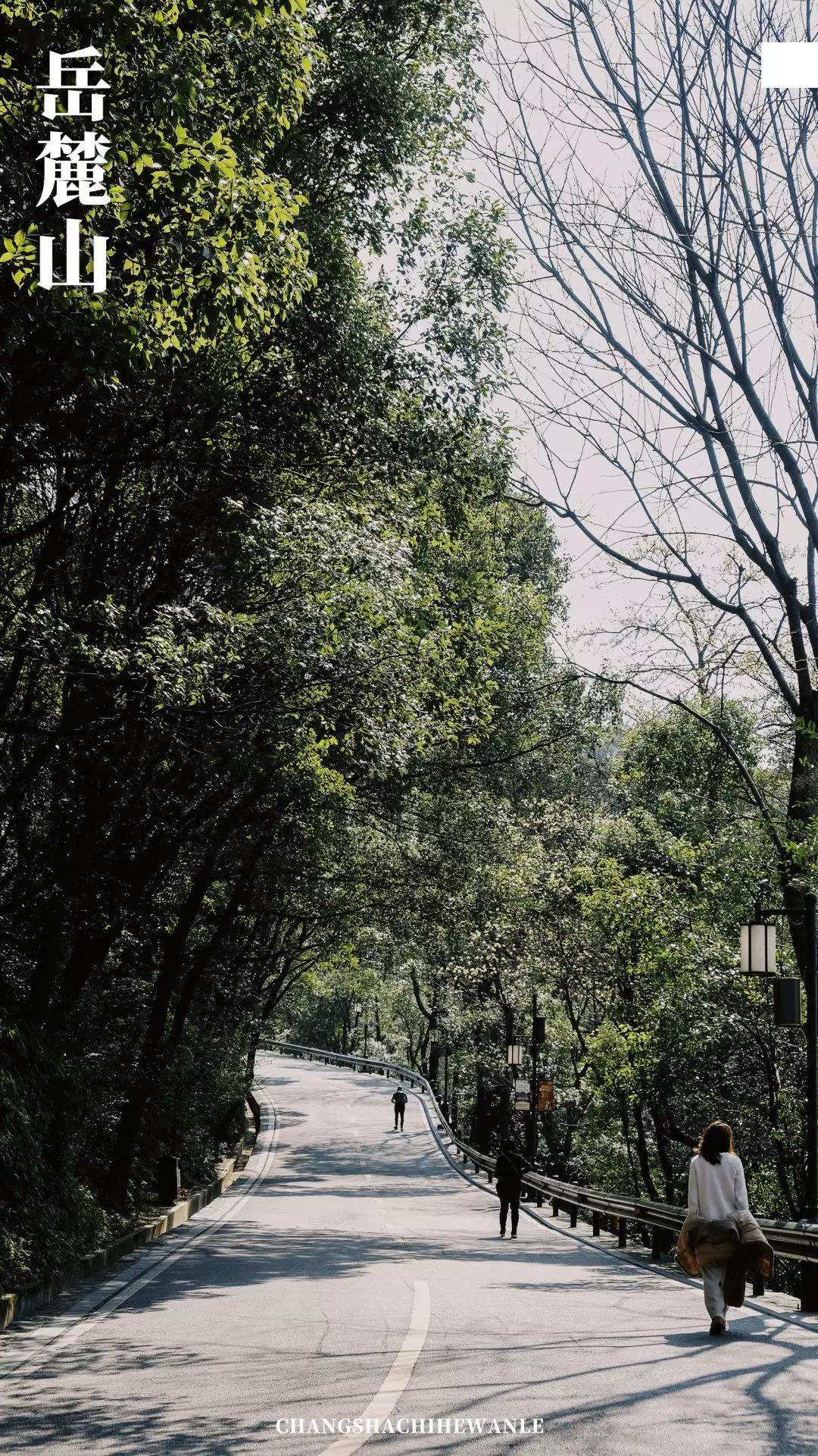 带你看看真正的长沙,带你在长沙感受一场如梦如幻