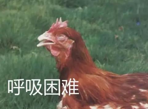 治呼吸道的特效药,呼吸道疾病特效药方