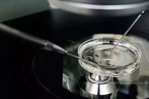 精子颜色辨别精子质量,三十秒教你自查精子质量