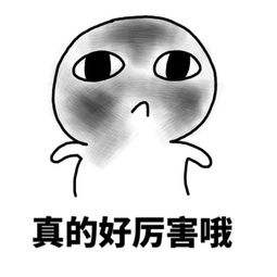 傲风和云狂小说,傲风云狂完结小说阅读