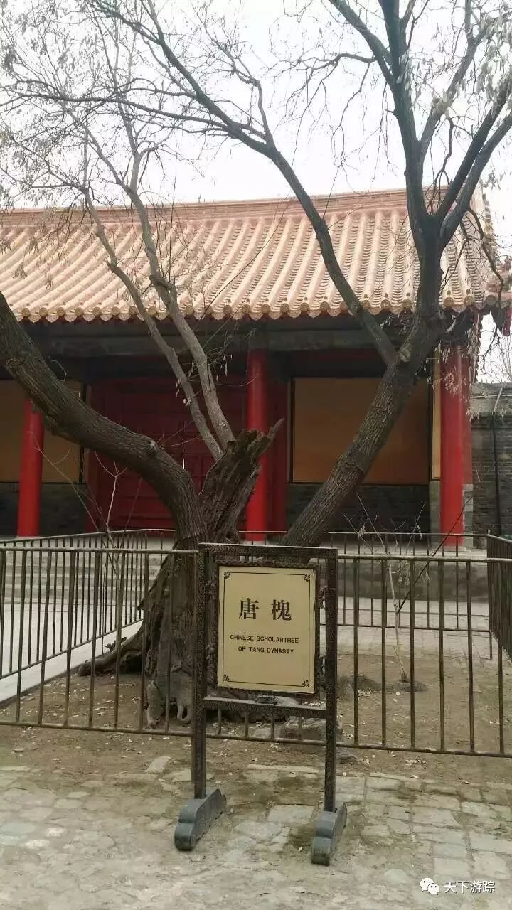 观赏曲阜的孔府孔庙孔林后的感受,曲阜的孔府和孔庙哪个更适合参观