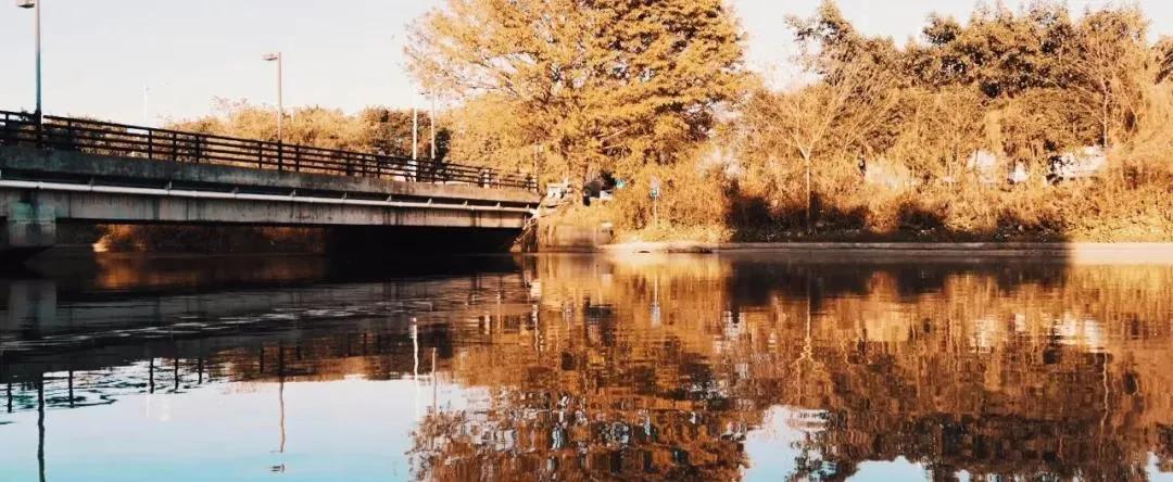 九大美院校园风景,中国九大美院校园风采