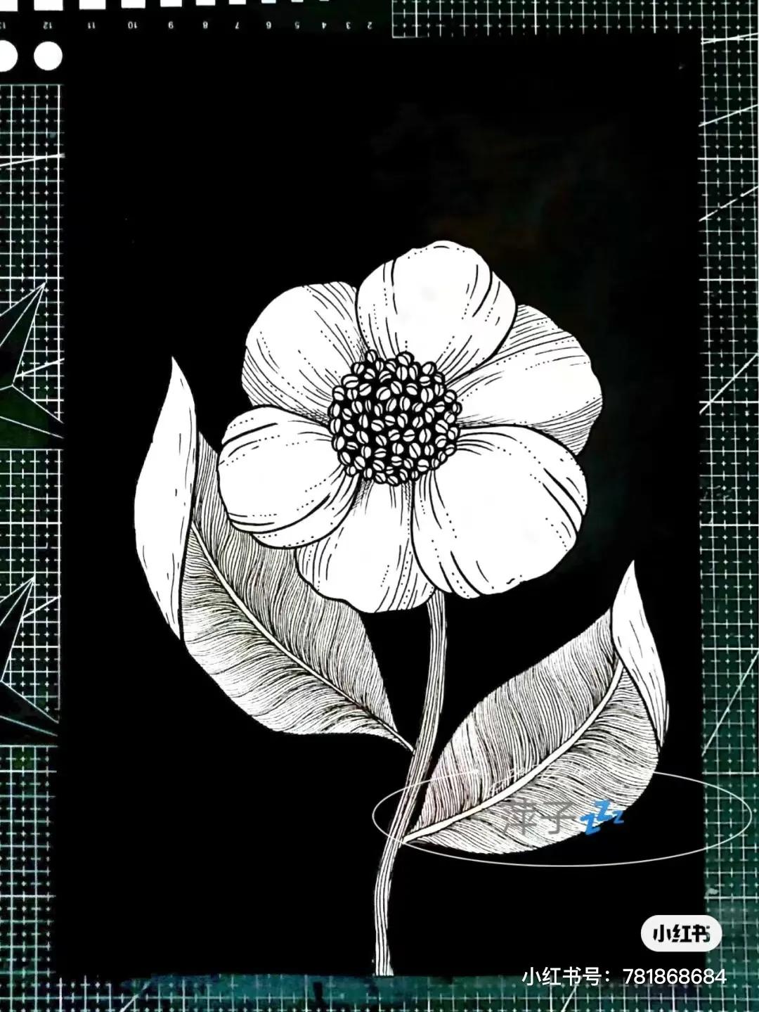 花卉简单线描创意画,花草线描画装饰