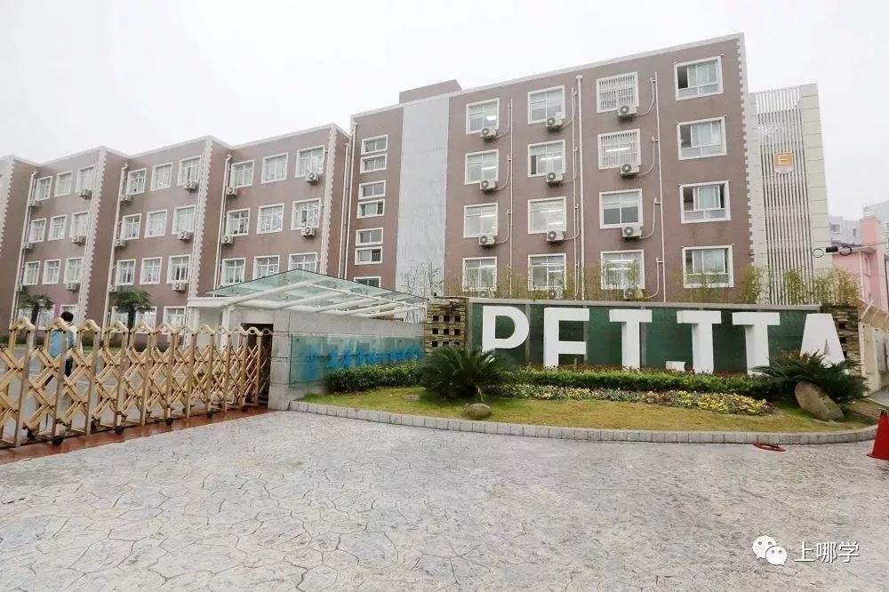 上海市普陀区小学总数,上海普陀区小学排名一览表