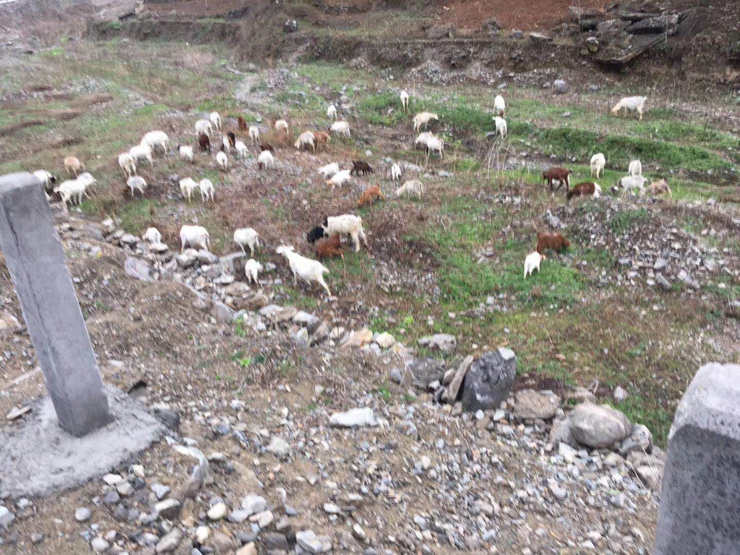 北漂回老家看父母的真实感受,北漂回家感慨