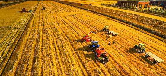 购买二手农用机械防骗手册,一不小心会吃亏上当