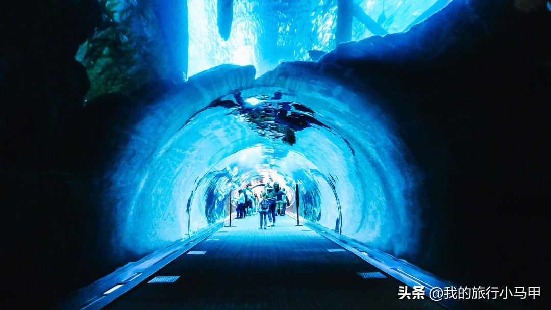 「迪拜游玩全攻略」盘点一下那些去迪拜必打卡的清单