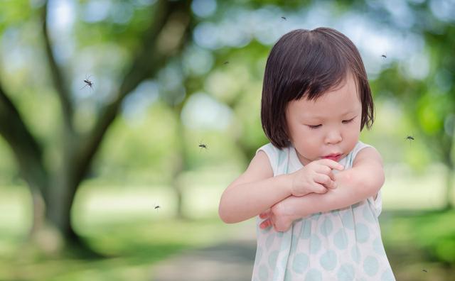 孕妇被蚊子叮了对胎儿有影响吗,孕妇有蚊子用什么防蚊比较好