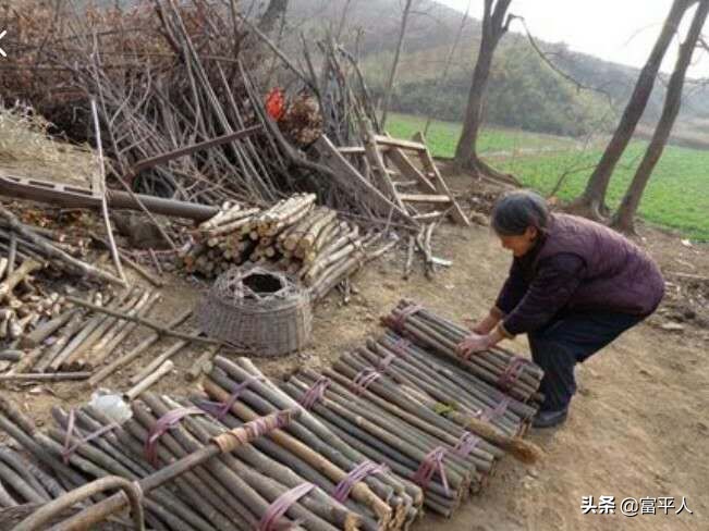 我的奶奶原生家庭,我的奶奶住在大山旁边的小山村里