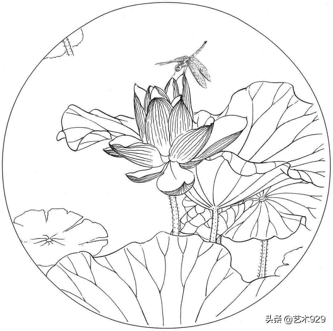 余稚荷花蜻蜓图高清白描底稿,白描荷花勾线方法讲解视频
