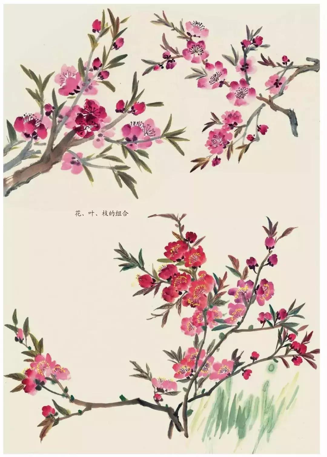国画团扇花卉画法,国画中常见花卉的画法