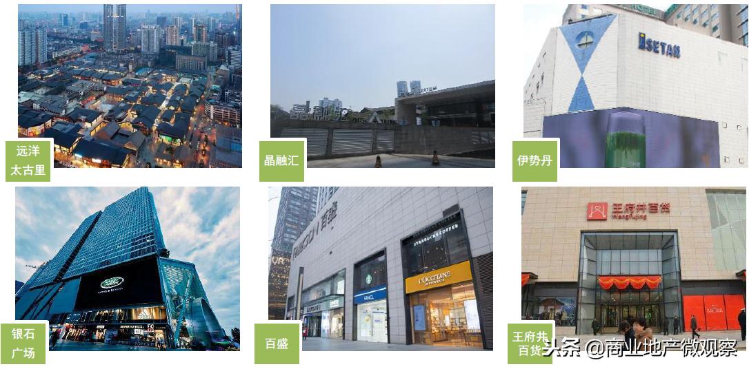 在成都看ifs熊猫,成都ifs上的爬墙大熊猫