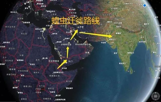 蟑螂厉害还是蝗虫厉害,蝗虫为什么会出现