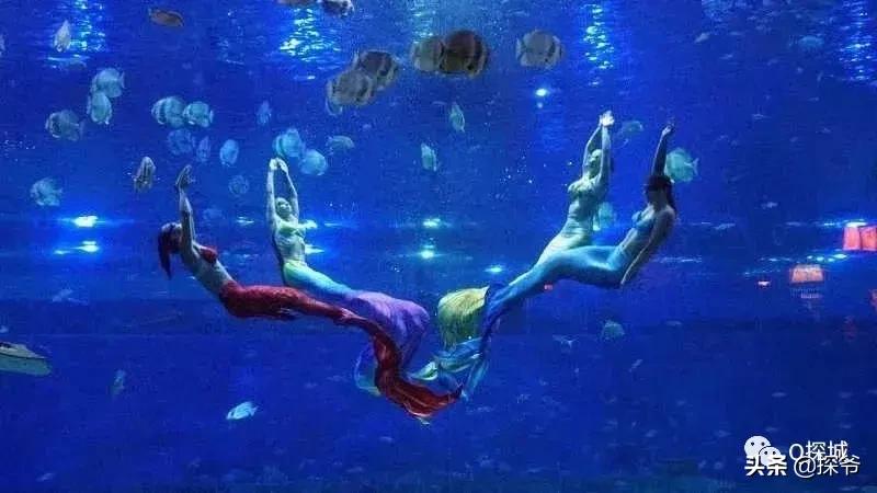 8-12岁重庆萌妹快来免费学潜水画海洋绘画还可得1大1小亲子票