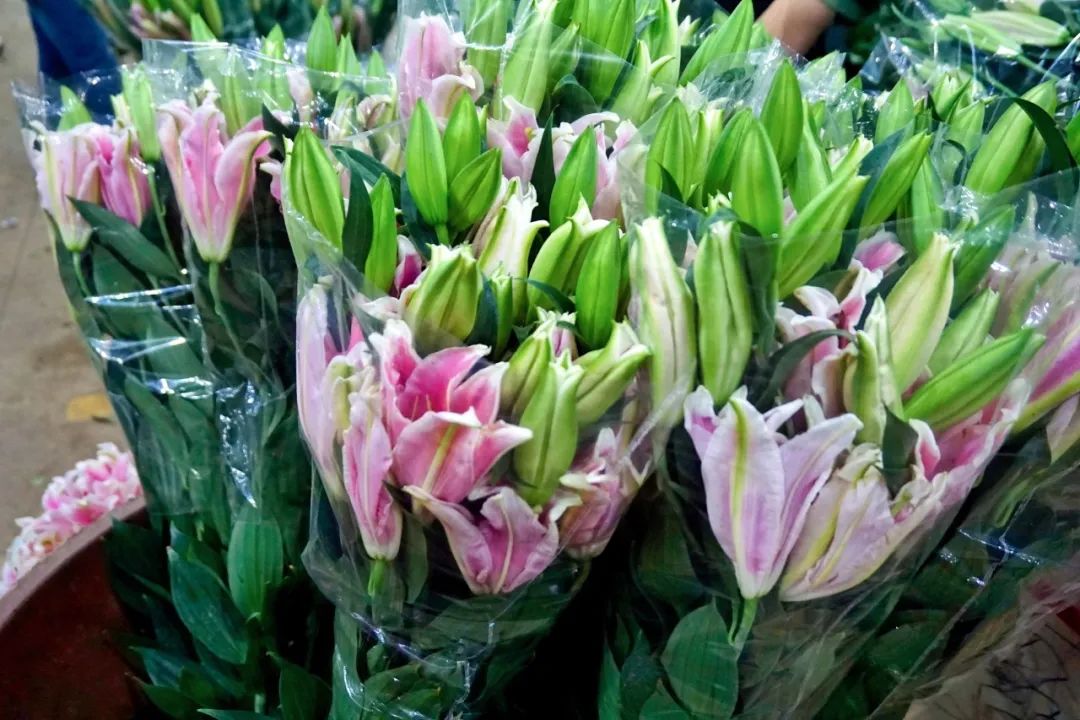 哪里鲜花最多最便宜,苏州市最大鲜花批发市场