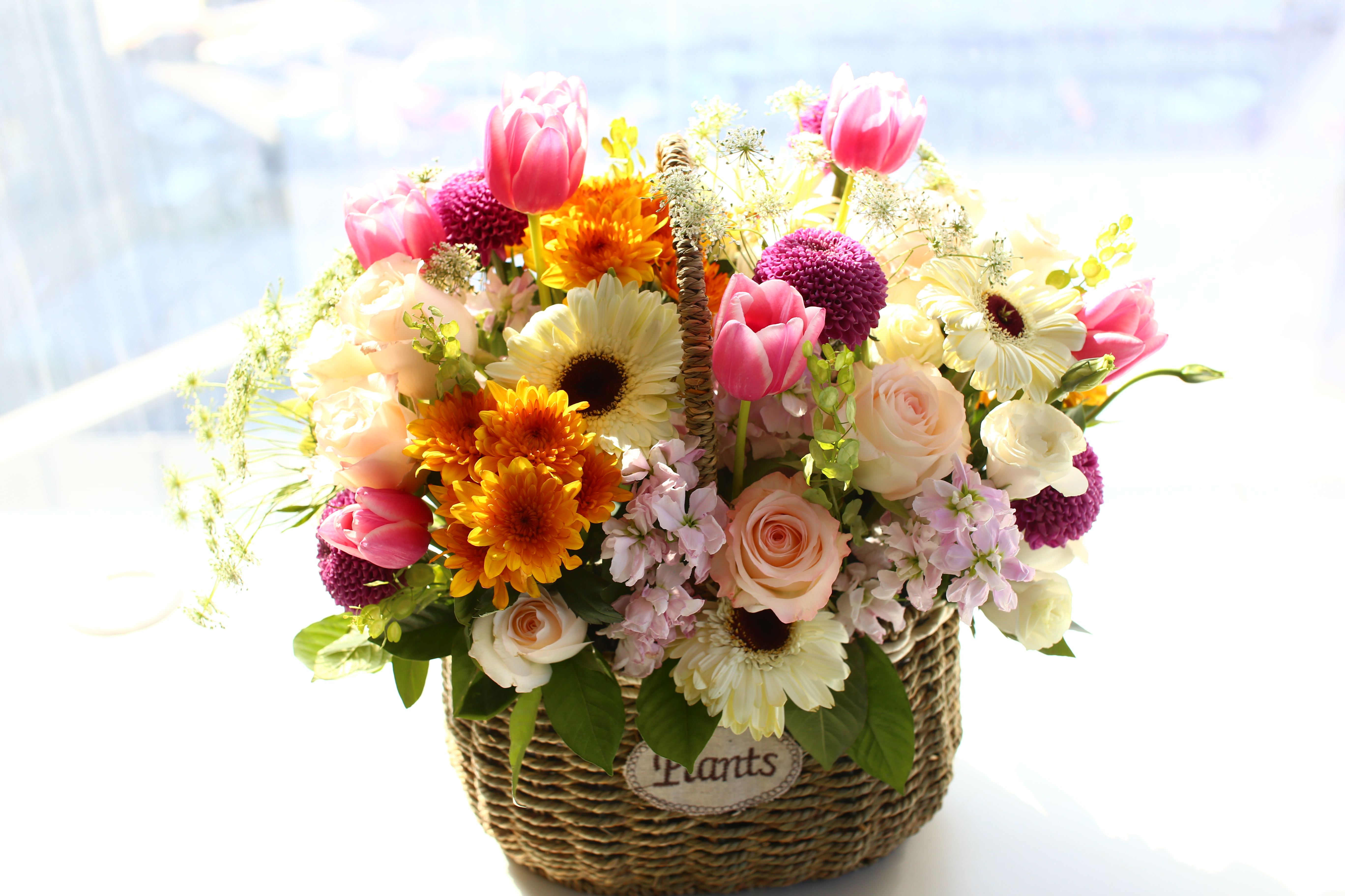 零基础教你如何开好一家花店,如果想开花店没有经验怎么办