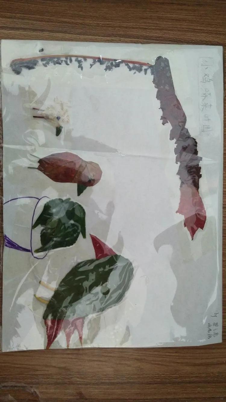 育才中学美丽校园,阜新市育才中学照片