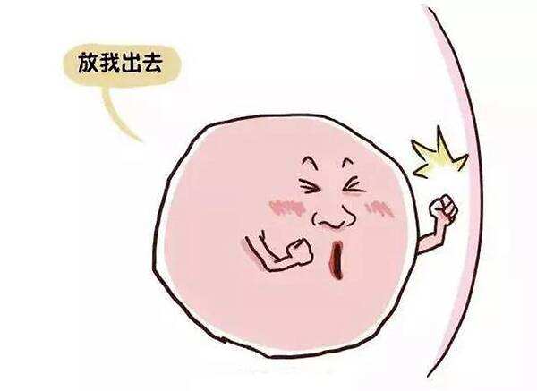 促排后不排卵怎么办,医生说已排卵为什么没怀