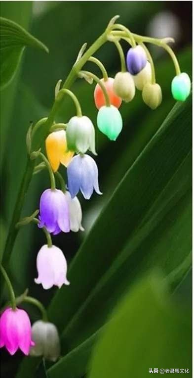 粤语话吵架,粤语打架粗言秽语