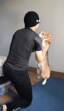 肩膀嘎吱嘎吱响，是何原因？如何解决？