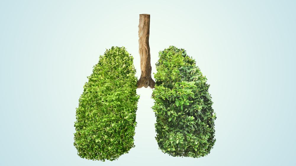 清理呼吸道，每天多笑笑——5个小妙招，帮你清清肺