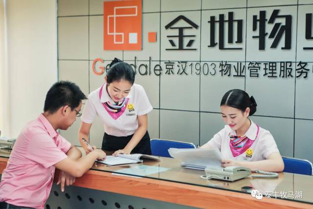 大亚湾泰丰牧马湖精装标准,大亚湾泰丰牧马湖洋房