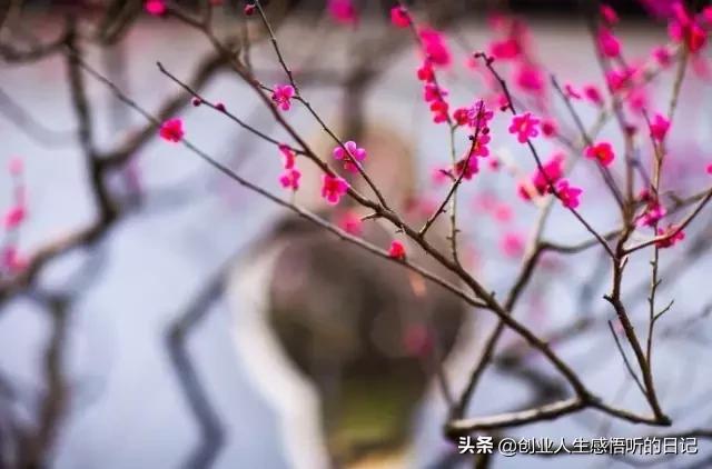 才华横溢令人惊呆的诗,才华横溢十首诗