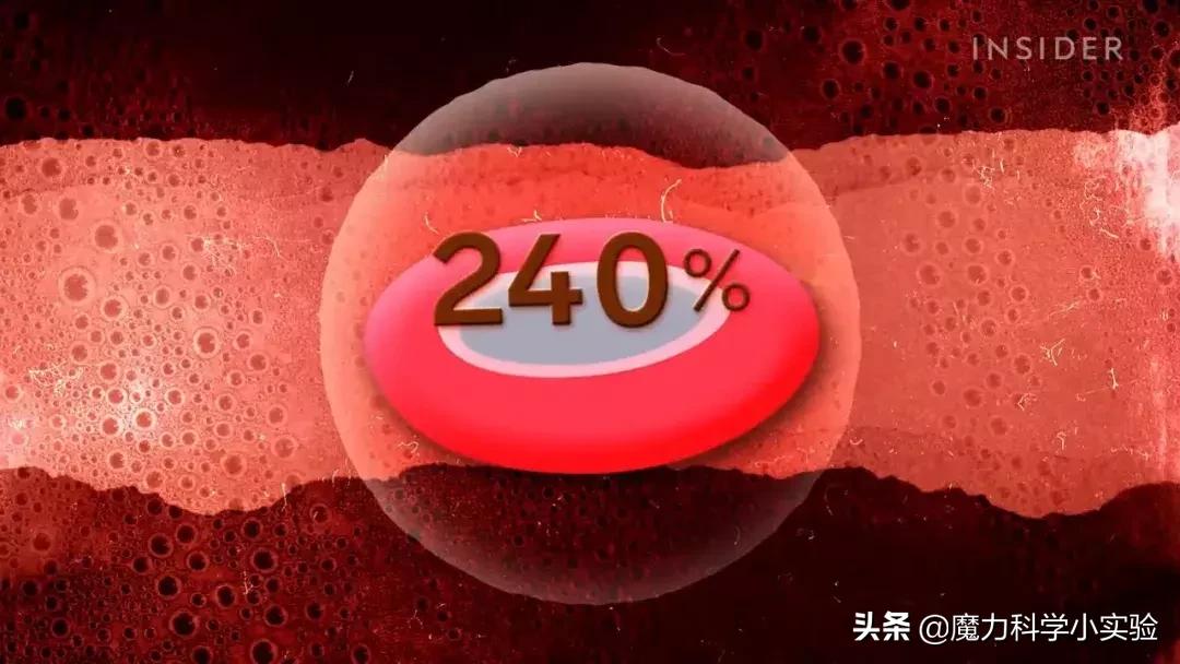 原来骆驼驼峰里的不是水,而是其他物质,那水藏哪去了?