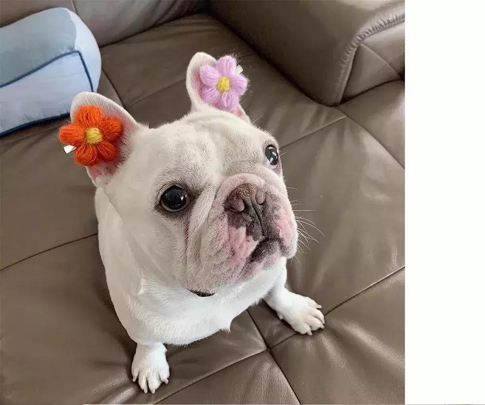 宋妍霏潮流主理人穿搭,王鹤棣桃花坞花衬衫走秀宋妍霏