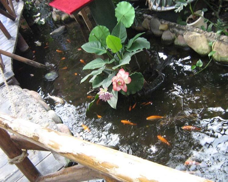 上海昆虫馆,上海昆虫博物馆研学