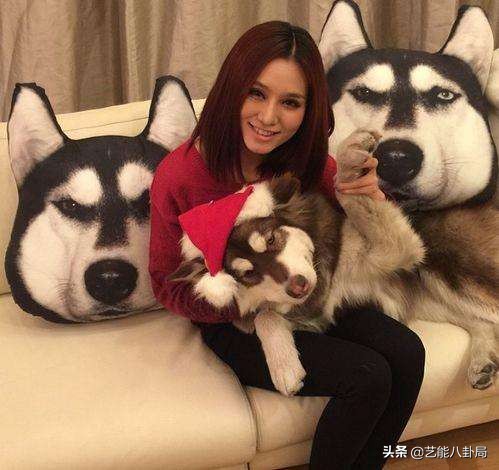 王思聪斥重金买鸭,王思聪自曝斥重金买鸭